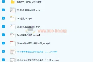 张立琛2021春初三化学春季系统班13讲课程及讲义