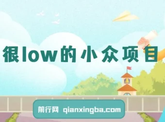小众暴利副业项目：简单易做，月入过万