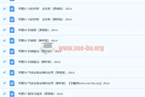 2022年高考物理核心高频考点专题备考资料：原卷+解析