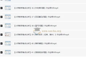 作业帮VIP小学数学考点难点解析资料