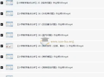 作业帮VIP小学数学考点难点解析资料