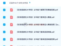 2024 春《实验班提优大考卷》：多学科同步练习资料