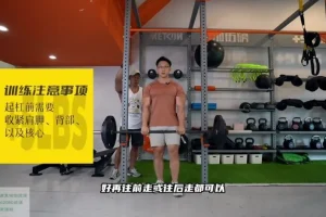 小萝卜四分化增肌训练高阶教程：科学规划高效增肌