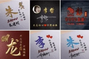 抖音热门姓氏签名头像PSD模板源文件：多风格专业设计素材