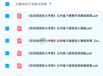 2024 春《实验班提优大考卷》：多学科同步练习资料