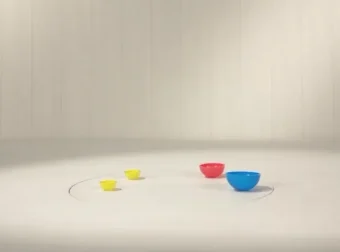 BBC《趣趣知知鸟》全50集早教启蒙动画