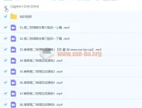 2024高二物理刘纹岩寒假班（下学期）