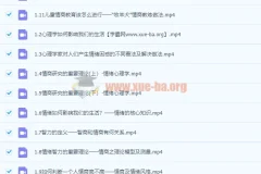 张怡筠博士 儿童情商教育指导师专业技能线上认证课（完结）