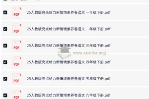 2025人教版小学语文亮点给力新情境素养卷