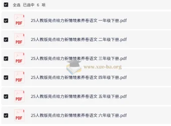 2025人教版小学语文亮点给力新情境素养卷