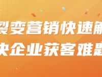 裂变营销：快速解决企业获客难题课程