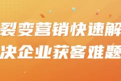 裂变营销：快速解决企业获客难题课程