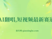 AI翻唱短视频项目：新手快速涨粉变现秘籍