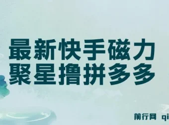最新快手磁力聚星自撸拼多多玩法课程：单设备日收益14 – 17元