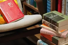 《各小说网站VIP排名100小说》网文合集