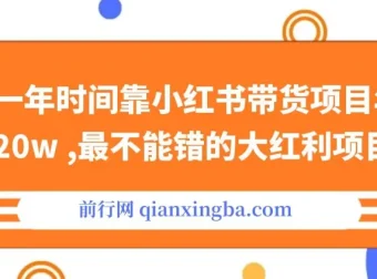靠小红书带货年入20w+：不容错过的大红利项目