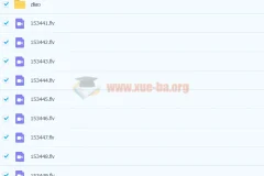 张丁儿初三数学实验班经典题练15讲（含讲义）