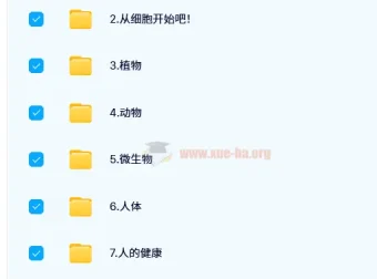 洋葱小学自然课