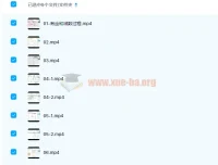 段瑞莹2021高考生物一二轮暑寒春28讲课程（带讲义）