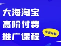 大海淘宝高阶付费推广课程：精准剖析推广工具，助力店铺业绩提升