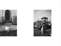 王建章摄影课：从基础到高级，全面提升摄影技能