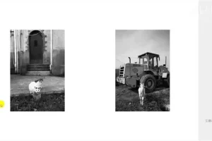 王建章摄影课：从基础到高级，全面提升摄影技能