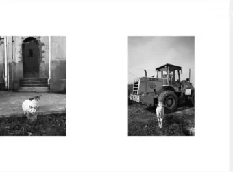 王建章摄影课：从基础到高级，全面提升摄影技能