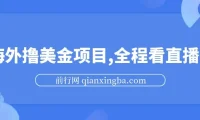 海外看直播撸美金项目教程：小白轻松上手