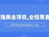 海外看直播撸美金项目教程：小白轻松上手
