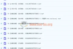 邵鑫精讲孙子兵法（视频+音频课程）