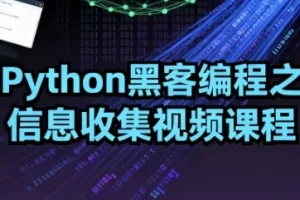 Python黑客编程：信息收集视频课程