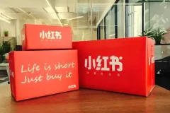 小红书广告投放从0到1实战课：掌握投放逻辑，拒绝无效消耗