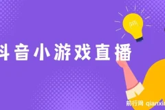 新风口抖音小游戏直播保姆式教学：适合小白，每日仅需2小时