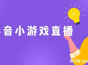 新风口抖音小游戏直播保姆式教学：适合小白，每日仅需2小时