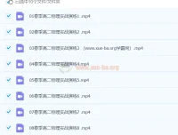 2024刘纹岩高二物理春季班课程