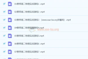 2024刘纹岩高二物理春季班课程