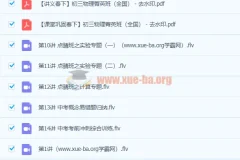 2020 春杜春雨初三物理菁英班课程