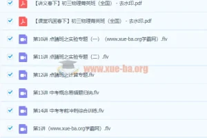 2020 春杜春雨初三物理菁英班课程