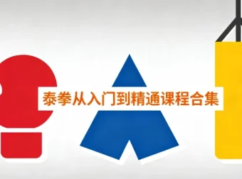 泰拳从入门到精通课程合集：系统学习泰拳的终极指南