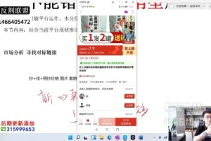 纪主任亲授拼多多爆款运营实战课：市场分析+推广优化+自然流量提升