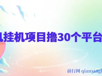 手机挂机项目：零撸30个APP平台广告金币，月入轻松大几千