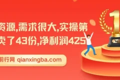 实操型副业项目教程：冷门资源变现，首日43单净赚425