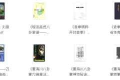 中华武术经典著作合集：领略传统武术魅力