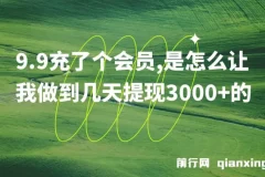 9.9 充会员实现几天提现 3000+项目介绍