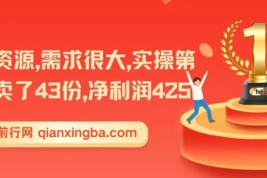 实操型副业项目教程：冷门资源变现，首日43单净赚425