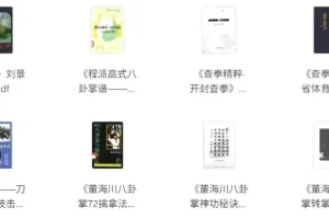 中华武术经典著作合集：领略传统武术魅力