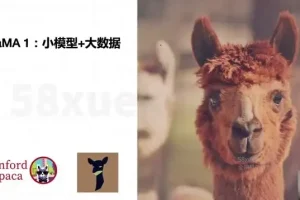 《AI大模型微调实战：8周掌握前沿技术与深度应用开发》
