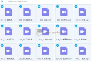 白马老师诗词课 115节