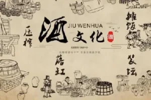 酒与养生：喝酒技术与养生知识资料