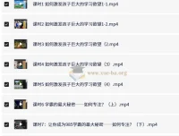 985逆袭学习方法与提分经验课程